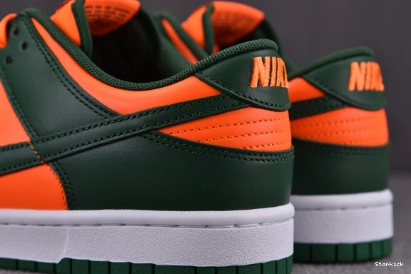 Nike Low DD1391-300 Dunk Hurricanes Miami 1027